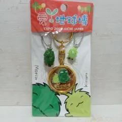 2026年最新】愛地球記念メダルの人気アイテム - メルカリ