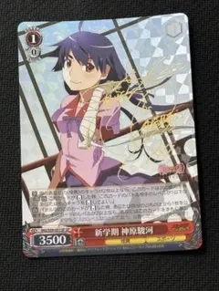 2026年最新】ヴァイス 化物語の人気アイテム - メルカリ