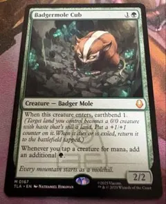 2026年最新】アナグマモグラの仔の人気アイテム - メルカリ