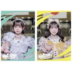 2026年最新】福丸うさ チェキの人気アイテム - メルカリ