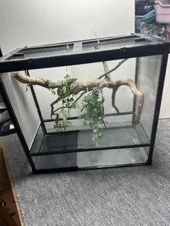 2026年最新】ケージ 中古 爬虫類の人気アイテム - メルカリ