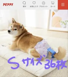 2026年最新】うんぽぱんつの人気アイテム - メルカリ