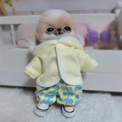 2026年最新】チワボボの人気アイテム - メルカリ