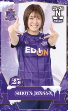 2026年最新】オンサイトカード サンフレッチェ広島の人気アイテム