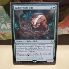 2026年最新】アナグマモグラの仔の人気アイテム - メルカリ