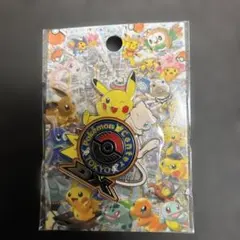 2026年最新】ポケモンセンタートウキョーDX ピンズの人気アイテム