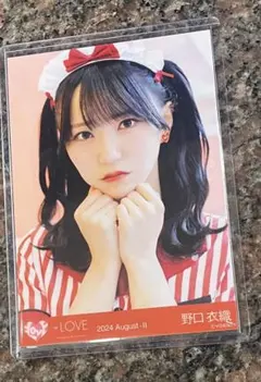 2026年最新】野口衣織 生写真 仲直りシュークリームの人気アイテム