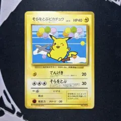 そらをとぶピカチュウ_ANA 「みんなにうれしいキャンペーン