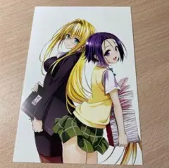 2026年最新】Toloveるダークネス ポストカードの人気アイテム - メルカリ