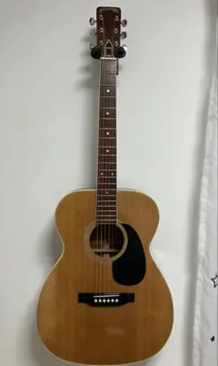 2026年最新】MORRIS ギター F-20の人気アイテム - メルカリ