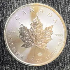2026年最新】メイプルリーフ銀貨の人気アイテム - メルカリ
