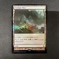 2026年最新】黄塵地帯 foilの人気アイテム - メルカリ