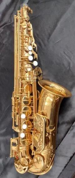 2026年最新】mavisサックスの人気アイテム - メルカリ