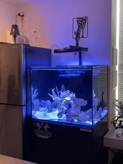 Red Sea RL90 水槽用照明器具 レッドシー 中古