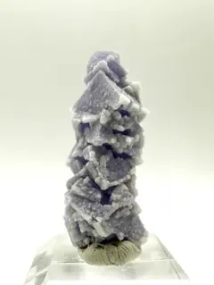 2026年最新】ポーセリンフローライトの人気アイテム - メルカリ