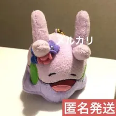 2026年最新】コダックはノーてんき ヌメラの人気アイテム - メルカリ