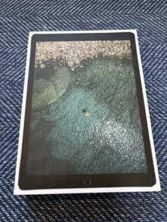 2026年最新】iPad Pro 12.9 ジャンクの人気アイテム - メルカリ