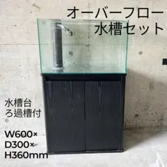 2026年最新】オーバーフロー水槽の人気アイテム - メルカリ