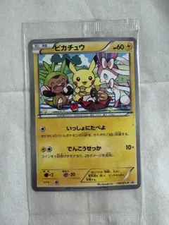 2026年最新】いっしょにたべよ ピカチュウ 未開封の人気アイテム