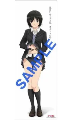 2026年最新】アマガミ 布ポスターの人気アイテム - メルカリ