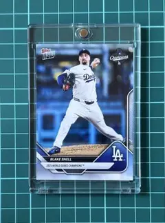 2026年最新】ブレイクスネルの人気アイテム - メルカリ