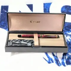 2026年最新】パイロット 万年筆 14kの人気アイテム - メルカリ