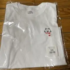 2026年最新】bump of chicken tシャツ ニコルの人気アイテム - メルカリ