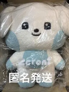 2026年最新】Zeroni ぬいぐるみ フラットの人気アイテム - メルカリ