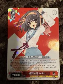 2026年最新】猪突猛進 ハルヒの人気アイテム - メルカリ