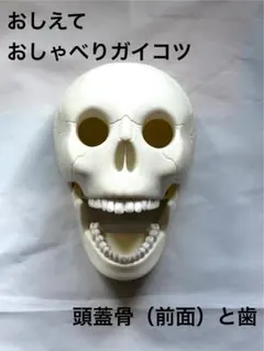 2026年最新】おしゃべりガイコツの人気アイテム - メルカリ