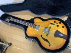 2026年最新】Ibanez AF105の人気アイテム - メルカリ