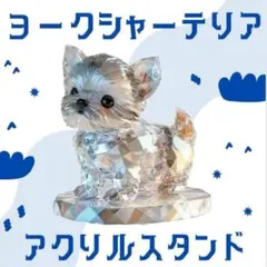 2026年最新】ヨークシャテリアの人気アイテム - メルカリ