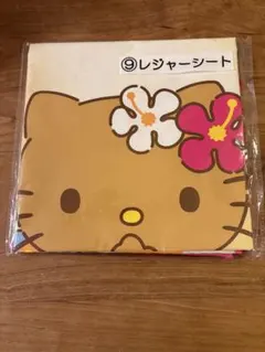 2026年最新】ハローキティ レジャーシート レトロの人気アイテム