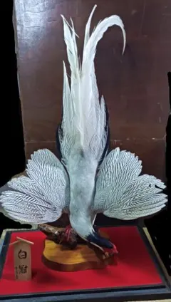 楽天市場】熊の剥製の通販 小熊の手/手芸/素材/魔除け/お守り