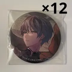 2026年最新】青柳冬弥 缶バッジ 28cの人気アイテム - メルカリ