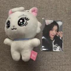 2026年最新】ケプラー ぬいぐるみの人気アイテム - メルカリ