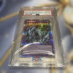 2026年最新】究極竜騎士 プリズマ psa10の人気アイテム - メルカリ