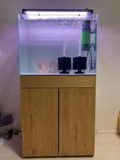 2026年最新】水槽 90 台の人気アイテム - メルカリ