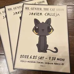 2026年最新】ハビア・カジェハの人気アイテム - メルカリ