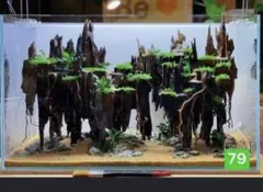 2026年最新】マシンガンウッドの人気アイテム - メルカリ