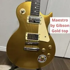 2026年最新】maestro gibsonの人気アイテム - メルカリ