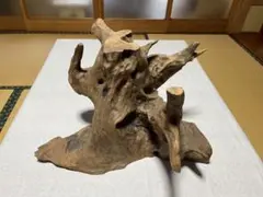 2026年最新】屋久杉オブジェの人気アイテム - メルカリ