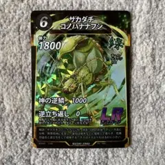 2026年最新】サカダチコノハナナフシの人気アイテム - メルカリ