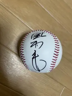 2026年最新】掛布 サインの人気アイテム - メルカリ