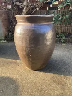 2026年最新】甕 メダカの人気アイテム - メルカリ