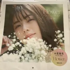 2026年最新】小芝風花 カードの人気アイテム - メルカリ