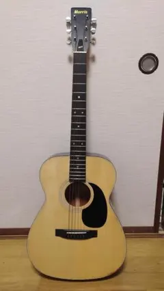 2026年最新】morris F-12の人気アイテム - メルカリ