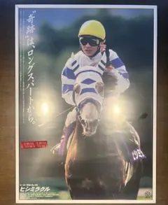 2026年最新】ヒシミラクル ヒーロー列伝の人気アイテム - メルカリ