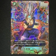 2026年最新】孫悟飯：SH SCRの人気アイテム - メルカリ