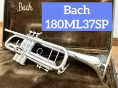 2026年最新】bach 180mlの人気アイテム - メルカリ